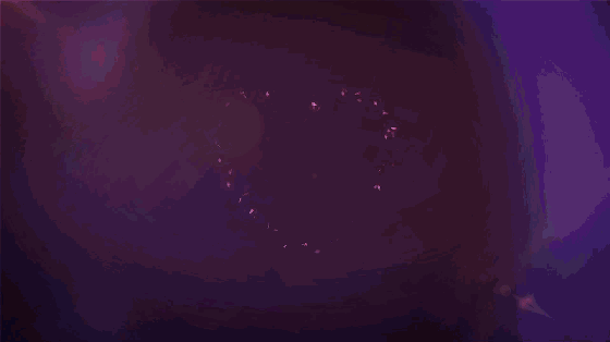 /1/content/1708310926414803370.gif